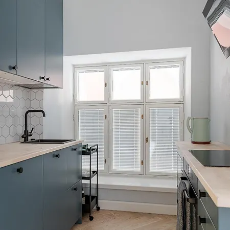 Modern Flat In Historical Building In Area דירה